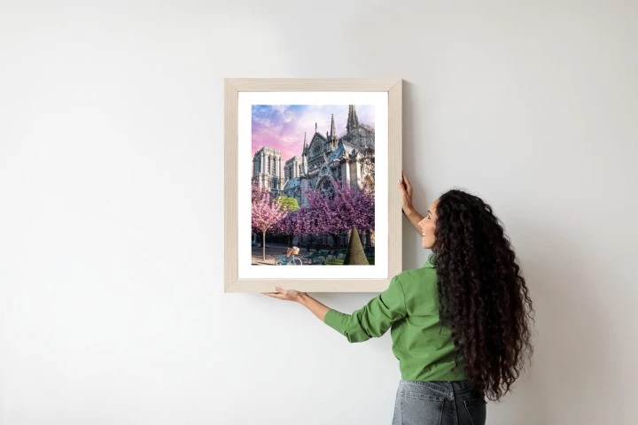 Plakat Katedra Notre Dame De Paris O Wschodzie Słońca I Kwitnące Wiśnie