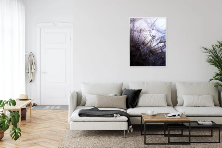 Plakat Mokry Mniszek Lekarski