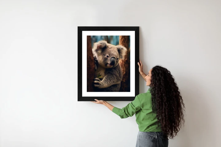 Plakat Miś Koala Na Drzewie