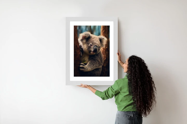 Plakat Miś Koala Na Drzewie
