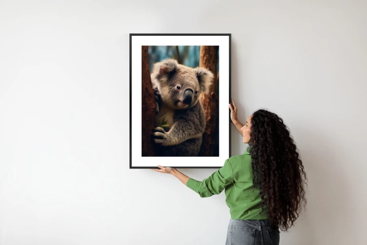 Plakat Miś Koala Na Drzewie