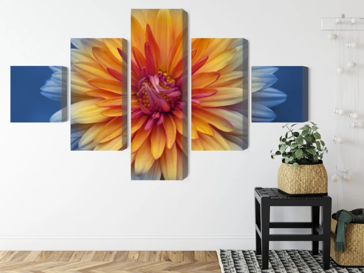 Obraz Wieloczęściowy Kwiat Chryzantemy Z Bliska 3D