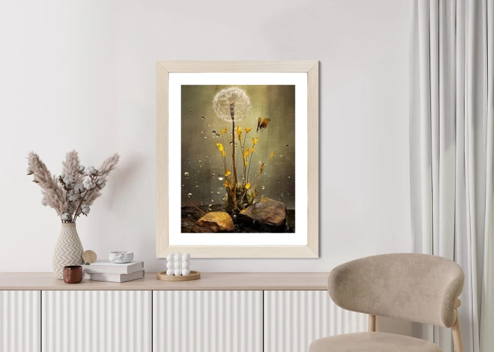 Plakat Mniszek Lekarski I Krople Rosy