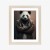 Plakat Niedźwiedź Panda W Kurtce