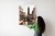 Plakat Architektura W Wenecji