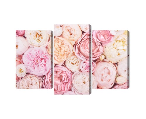 Obraz Wieloczęściowy Kwitnące Kwiaty W Pastelowych Kolorach