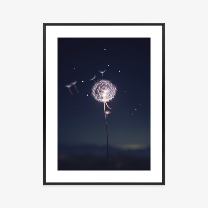 Plakat Delikatny Mniszek Lekarski Na Tle Nocnego Nieba