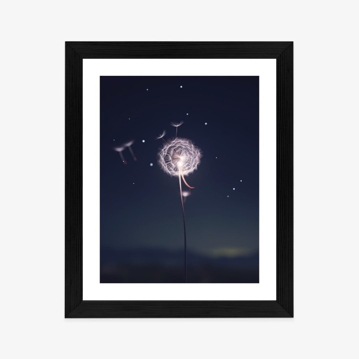 Plakat Delikatny Mniszek Lekarski Na Tle Nocnego Nieba