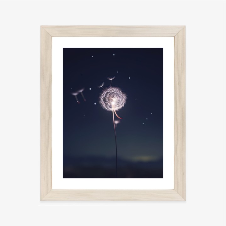 Plakat Delikatny Mniszek Lekarski Na Tle Nocnego Nieba