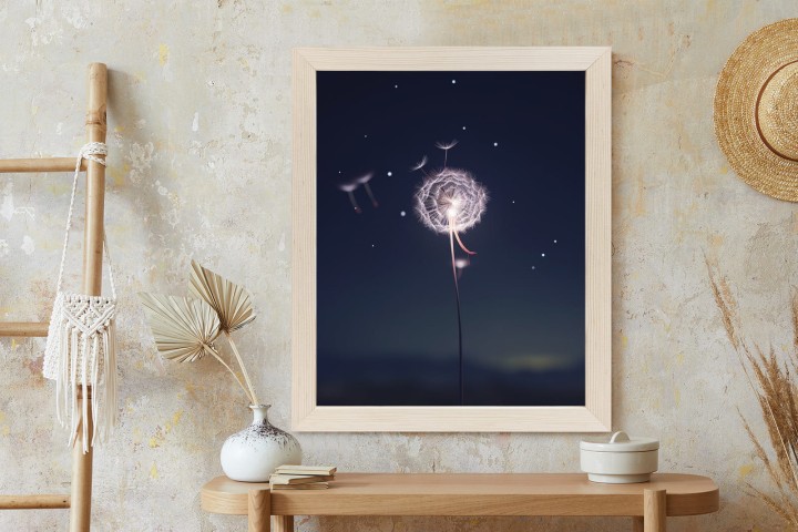 Plakat Delikatny Mniszek Lekarski Na Tle Nocnego Nieba