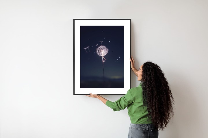 Plakat Delikatny Mniszek Lekarski Na Tle Nocnego Nieba