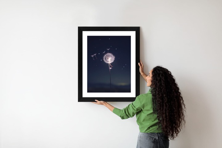 Plakat Delikatny Mniszek Lekarski Na Tle Nocnego Nieba