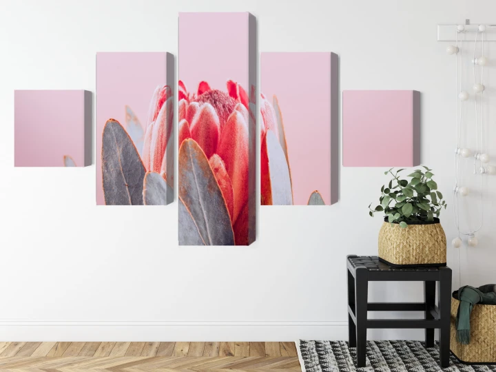 Obraz Wieloczęściowy Kwiat Królewskiej Protei Z Bliska