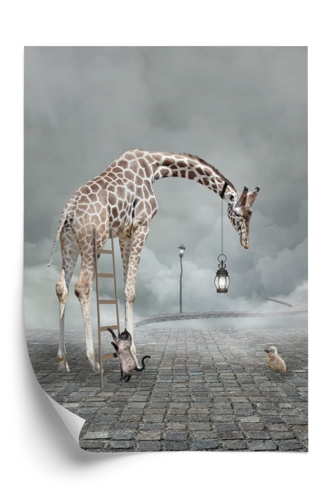 Plakat Surrealistyczna Żyrafa Kot Drabina I Lampa