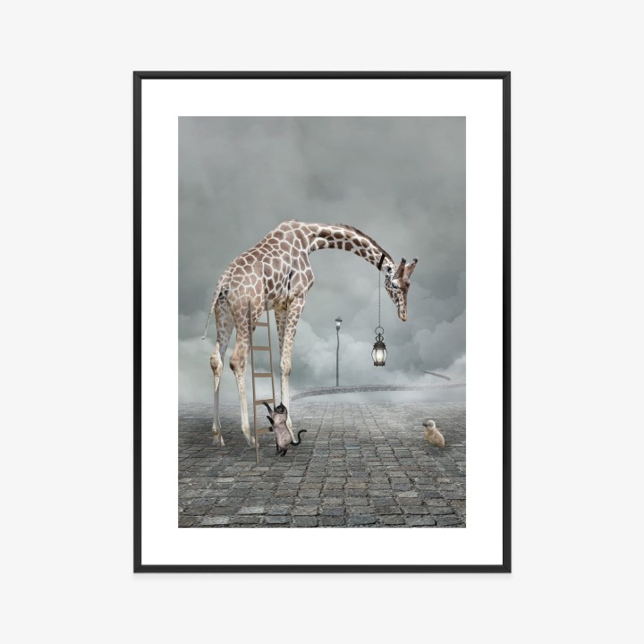 Plakat Surrealistyczna Żyrafa Kot Drabina I Lampa