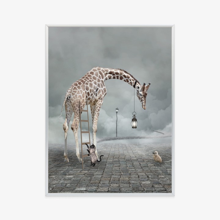 Plakat Surrealistyczna Żyrafa Kot Drabina I Lampa