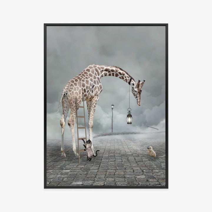 Plakat Surrealistyczna Żyrafa Kot Drabina I Lampa