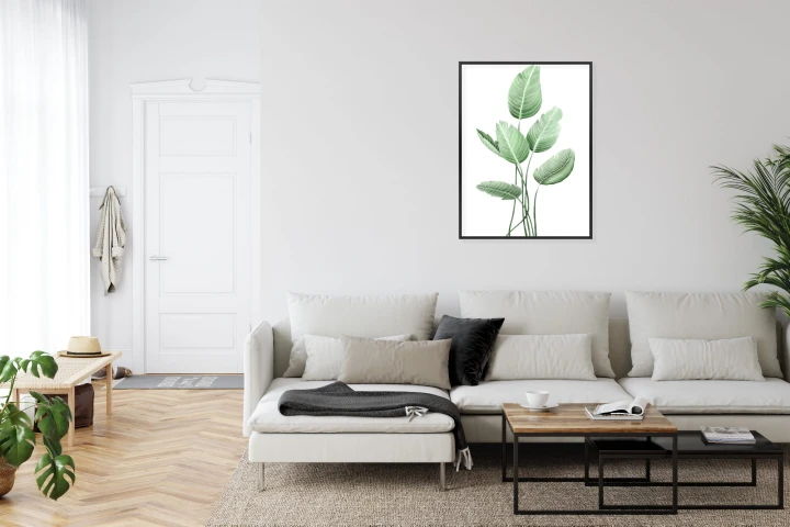 Plakat Strelicja Biała