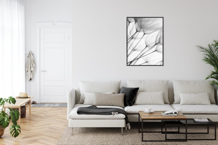 Plakat Czarno-Białe Mniszki Lekarskie