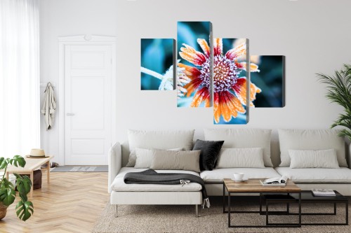 Obraz Wieloczęściowy Kwiaty Rudbeckia Pokryte Szronem