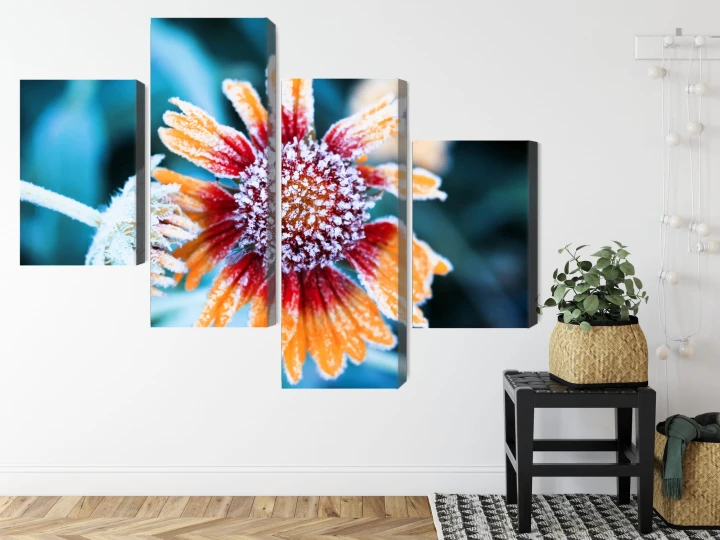 Obraz Wieloczęściowy Kwiaty Rudbeckia Pokryte Szronem