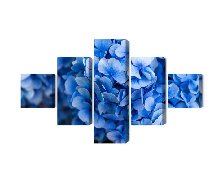 Obraz Wieloczęściowy Kwiaty Niebieskiej Hortensji Z Bliska