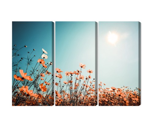 Obraz Wieloczęściowy Kwiaty Polne W Słońcu