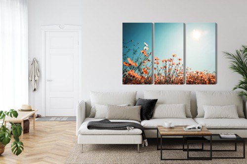 Obraz Wieloczęściowy Kwiaty Polne W Słońcu