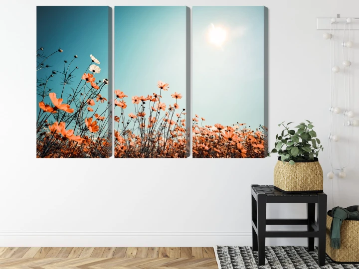 Obraz Wieloczęściowy Kwiaty Polne W Słońcu