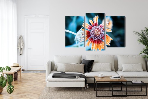 Obraz Wieloczęściowy Kwiaty Rudbeckia Pokryte Szronem