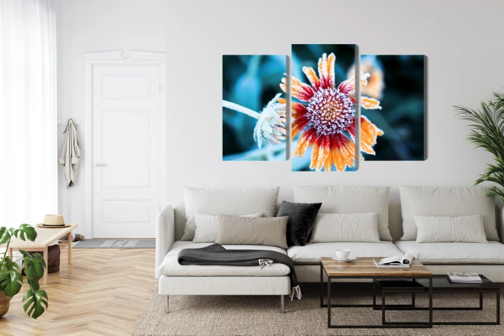 Obraz Wieloczęściowy Kwiaty Rudbeckia Pokryte Szronem