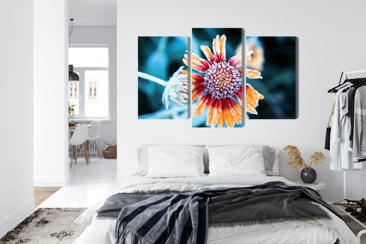 Obraz Wieloczęściowy Kwiaty Rudbeckia Pokryte Szronem