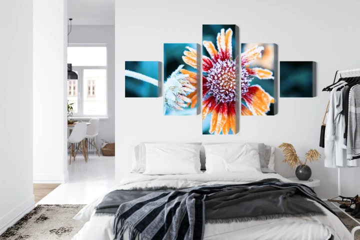 Obraz Wieloczęściowy Kwiaty Rudbeckia Pokryte Szronem