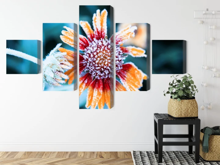 Obraz Wieloczęściowy Kwiaty Rudbeckia Pokryte Szronem