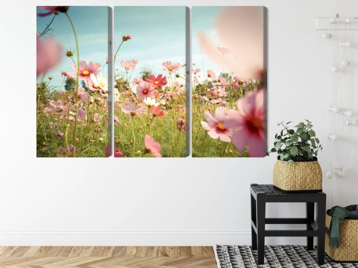 Obraz Wieloczęściowy Kwiaty Kosmosu W Ogrodzie