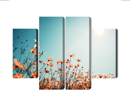 Obraz Wieloczęściowy Kwiaty Polne W Słońcu