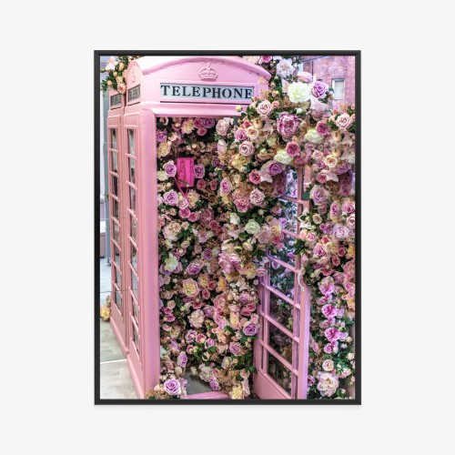Plakat Kolorowe Kwiaty W Różowej Budce Telefonicznej