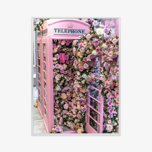 Plakat Kolorowe Kwiaty W Różowej Budce Telefonicznej