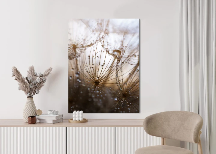 Plakat Dmuchawiec Z Kroplami Rosy