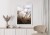 Plakat Dmuchawiec Z Kroplami Rosy