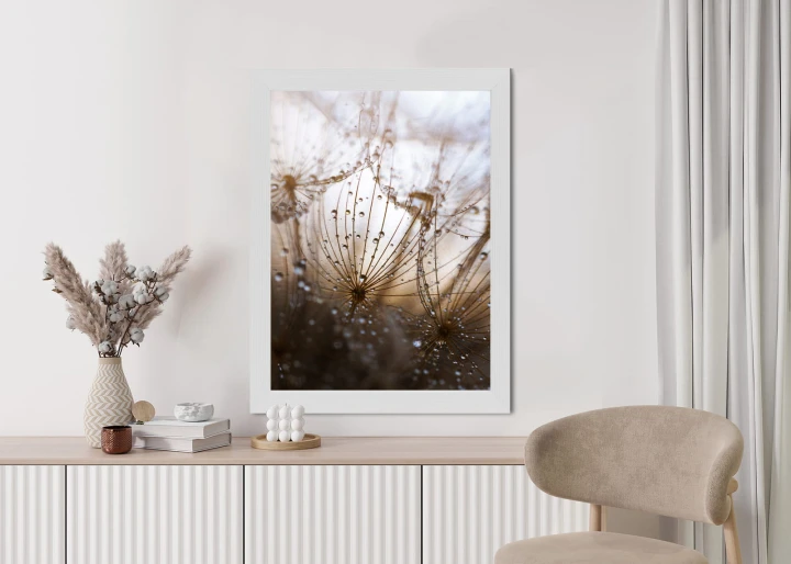 Plakat Dmuchawiec Z Kroplami Rosy