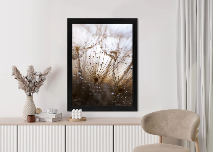 Plakat Dmuchawiec Z Kroplami Rosy