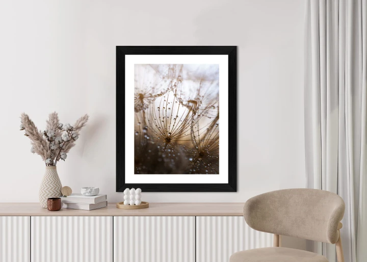 Plakat Dmuchawiec Z Kroplami Rosy