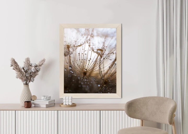 Plakat Dmuchawiec Z Kroplami Rosy