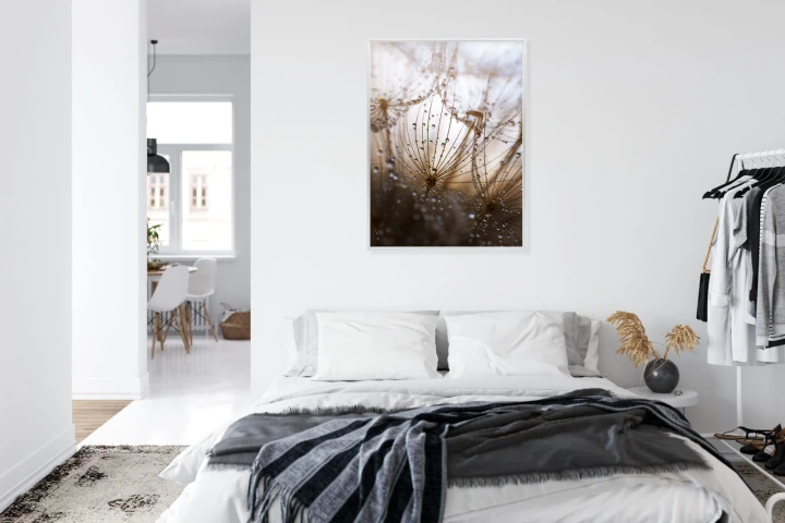 Plakat Dmuchawiec Z Kroplami Rosy