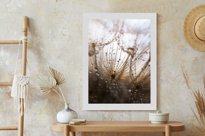 Plakat Dmuchawiec Z Kroplami Rosy