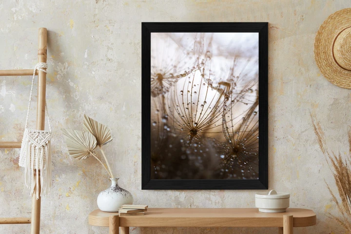 Plakat Dmuchawiec Z Kroplami Rosy