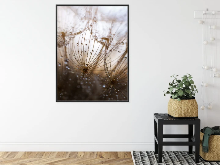 Plakat Dmuchawiec Z Kroplami Rosy
