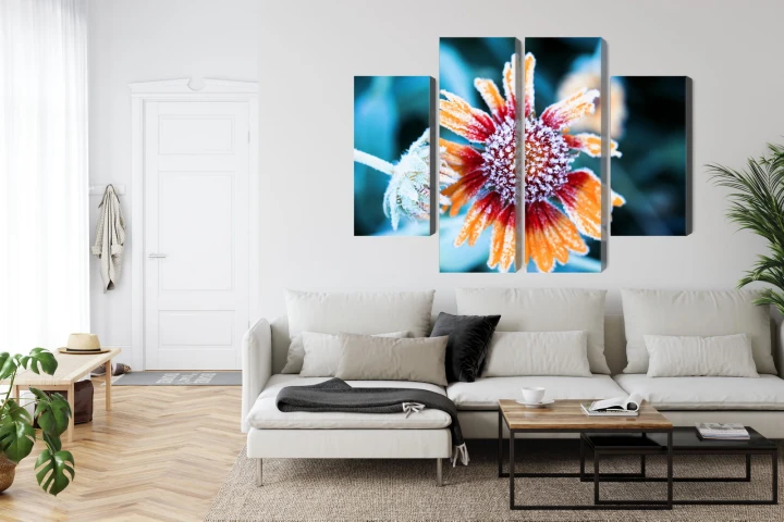 Obraz Wieloczęściowy Kwiaty Rudbeckia Pokryte Szronem