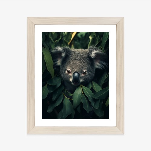 Plakat Koala Siedzący W Liściach